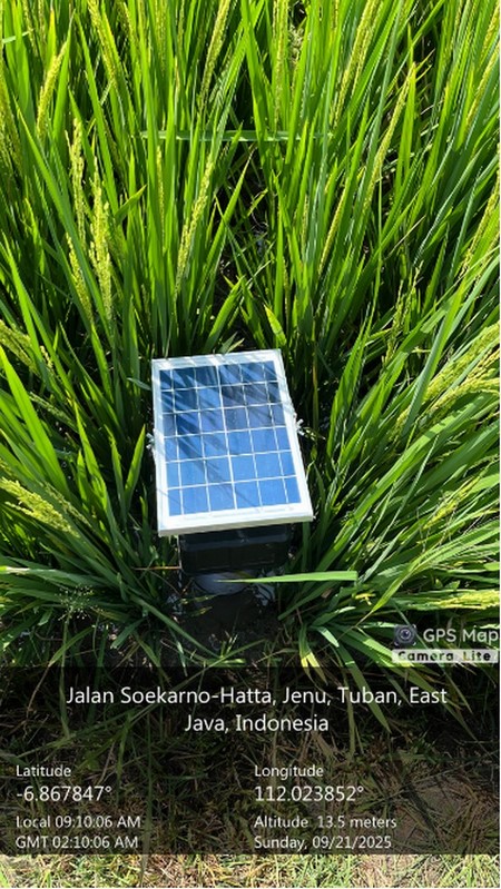 Alternate Wetting and Drying (4)