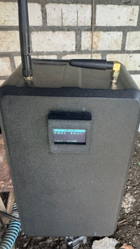 Alternate Wetting and Drying (6)