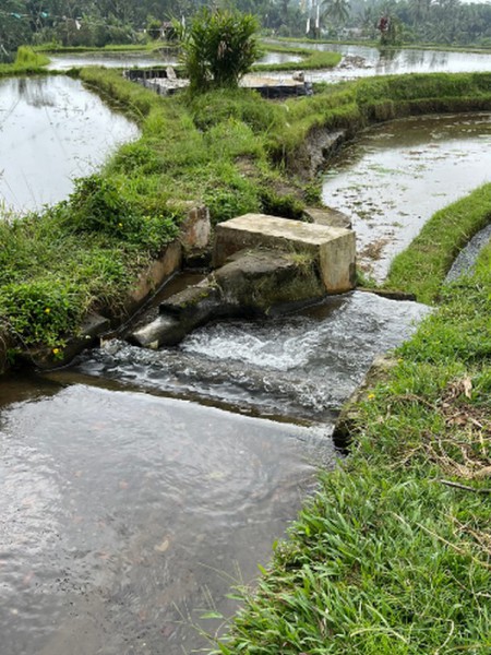 biochar (7) biochar (7)