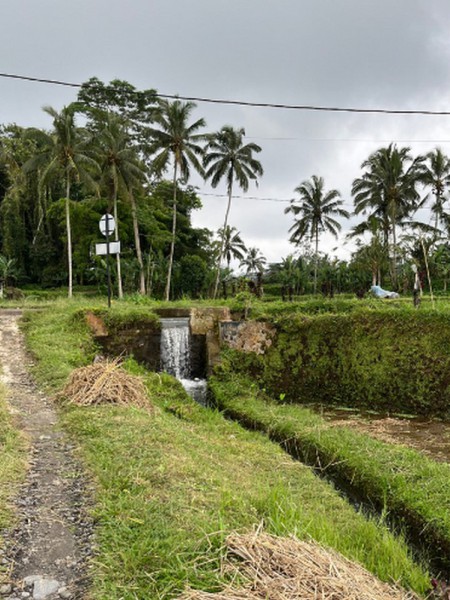 biochar (8) biochar (8)