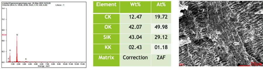 Carbon, Oxygen, Silicon, Potassium content